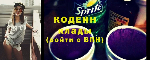 мдпв Верхний Тагил