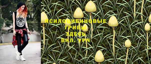 мдпв Верхний Тагил