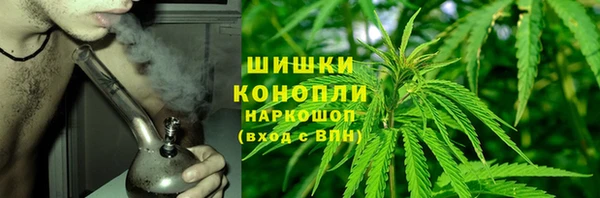 мдпв Верхний Тагил
