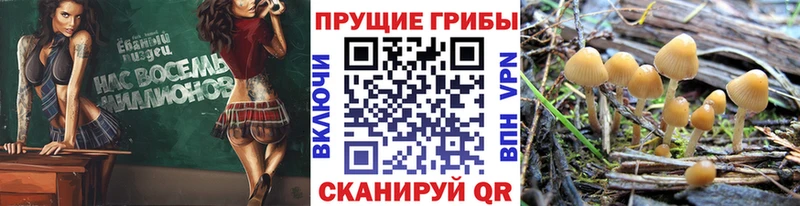 продажа наркотиков  Ишимбай  Псилоцибиновые грибы GOLDEN TEACHER 